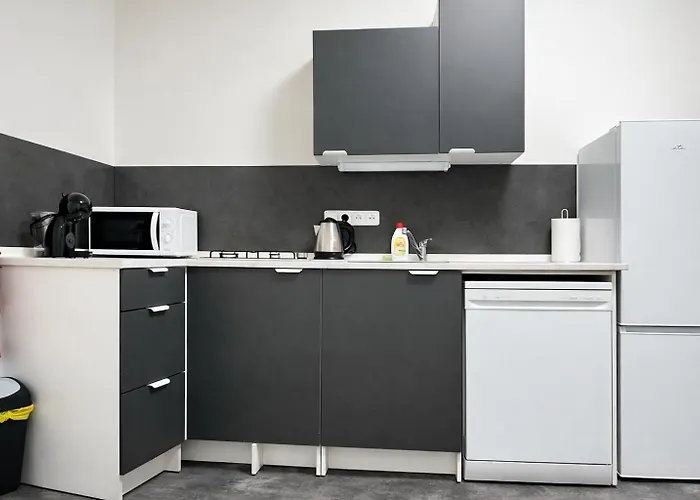 Apartament Symbiola Automat Decin